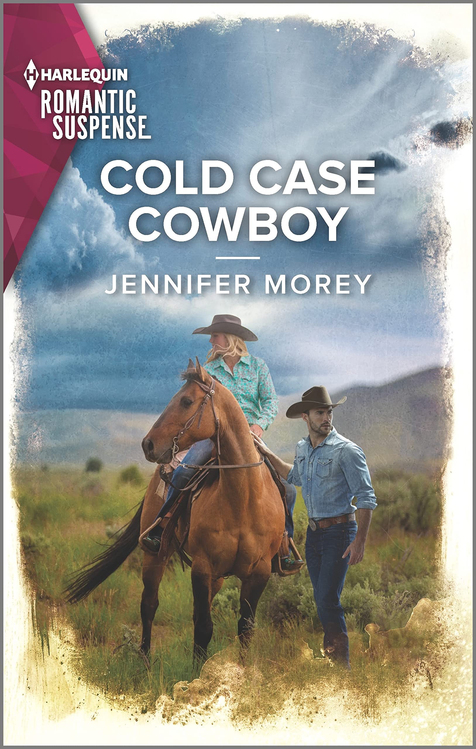 Cold Case Cowboy (Cold Case Detectives, #9)