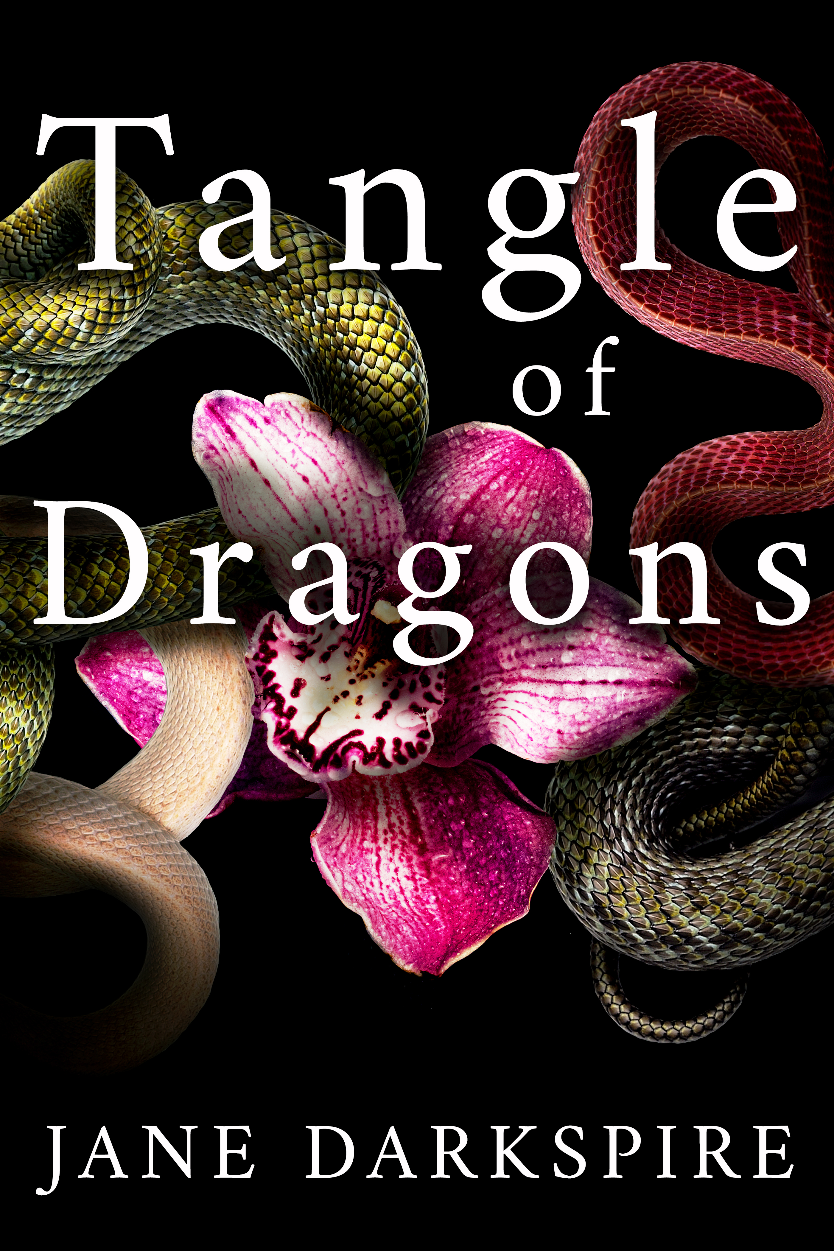 Tangle of Dragons