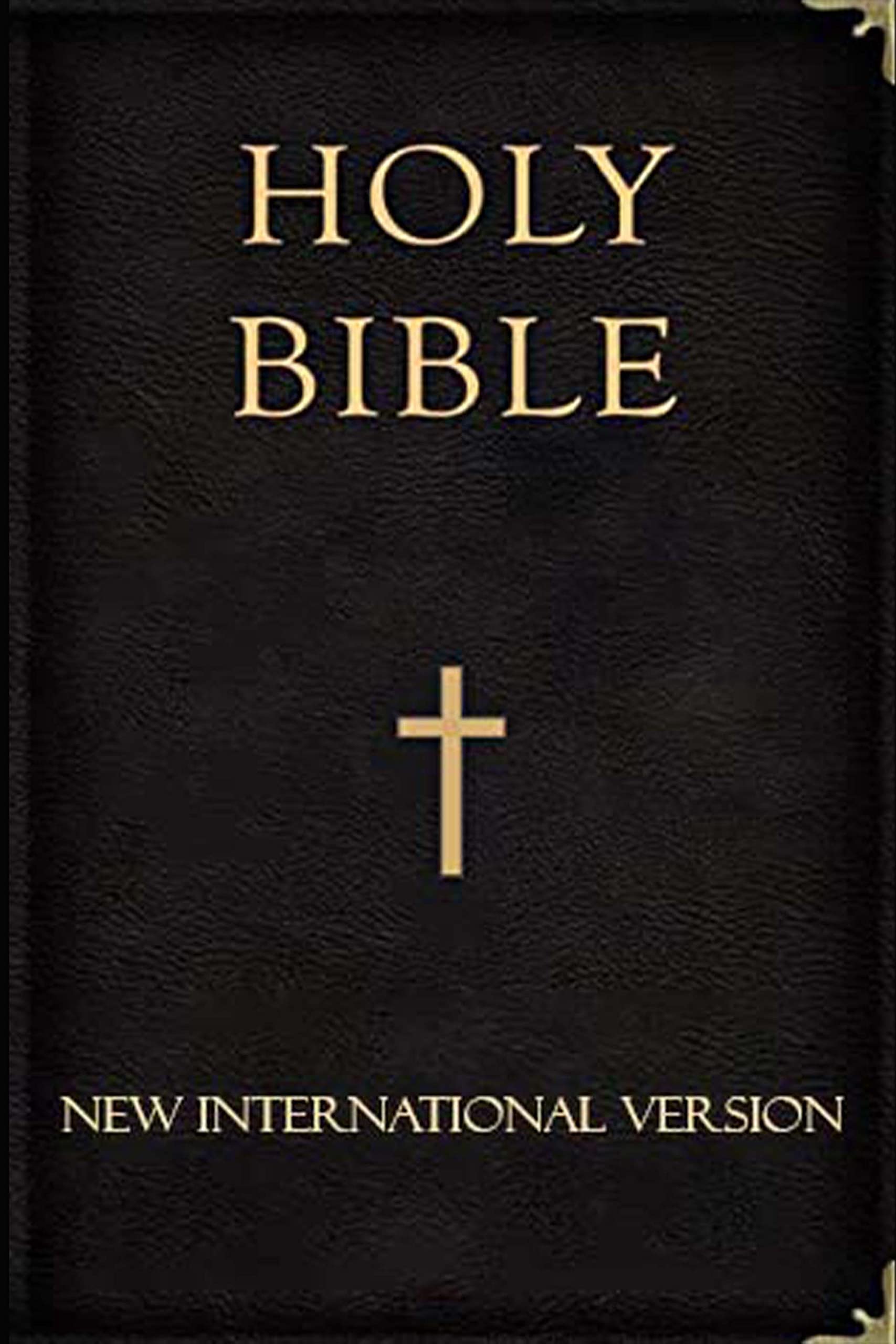 HOLY BIBLE NIV , New Updated Edition 2022