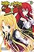 High School DxD, Vol. 8 (light novel): A Demon's Work (Volume 8)