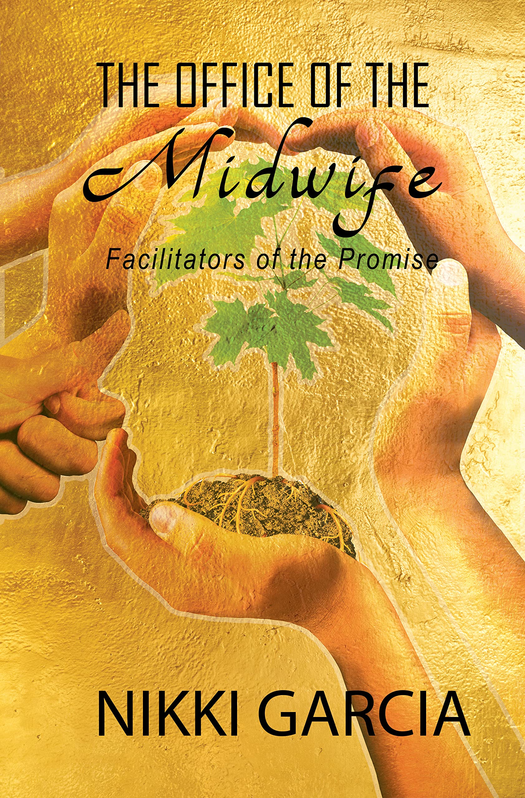 Office of the Midwife: Facilitator of the Promise (Kindle Edition)