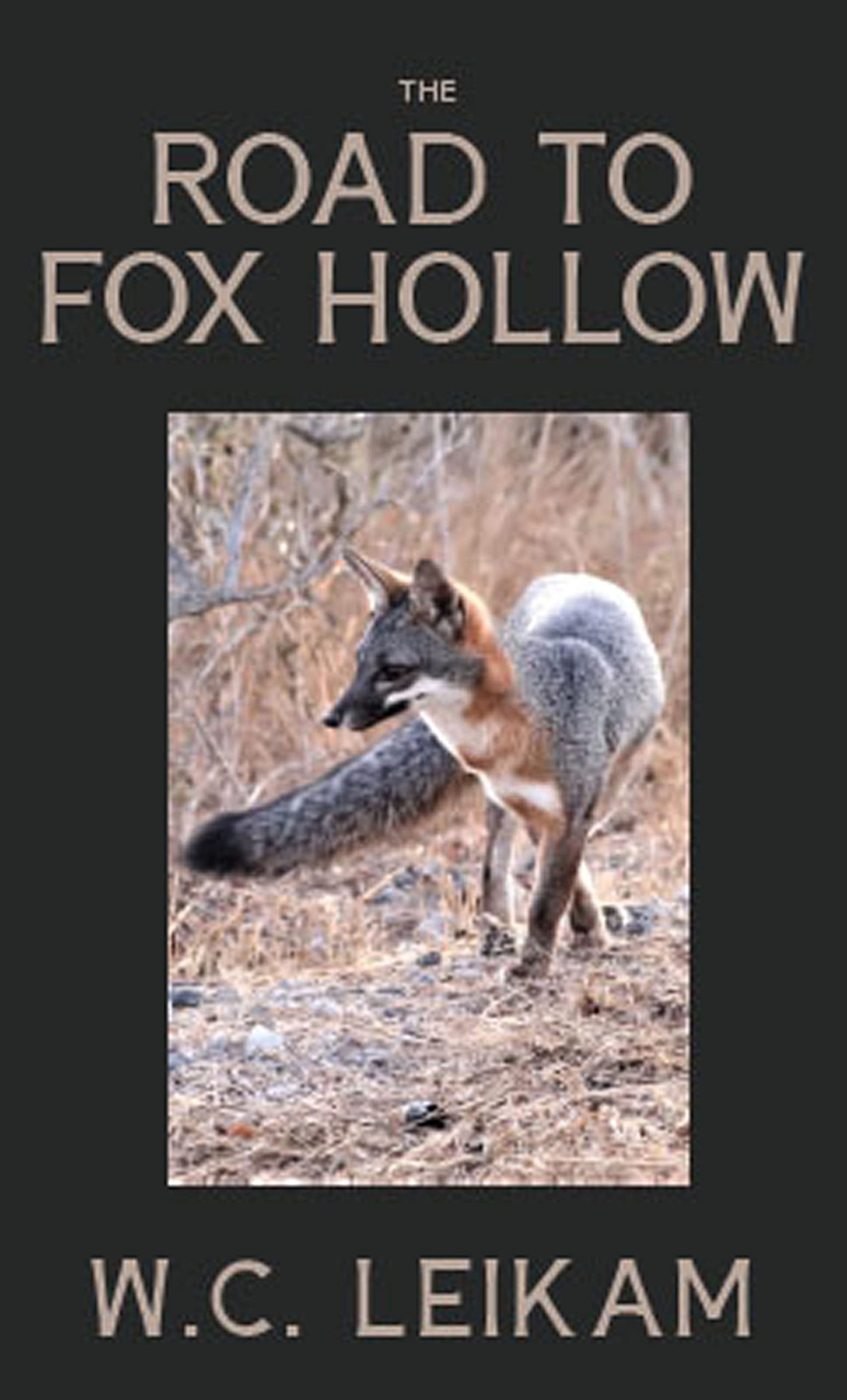 The Road to Fox Hollow (Kindle Edition)