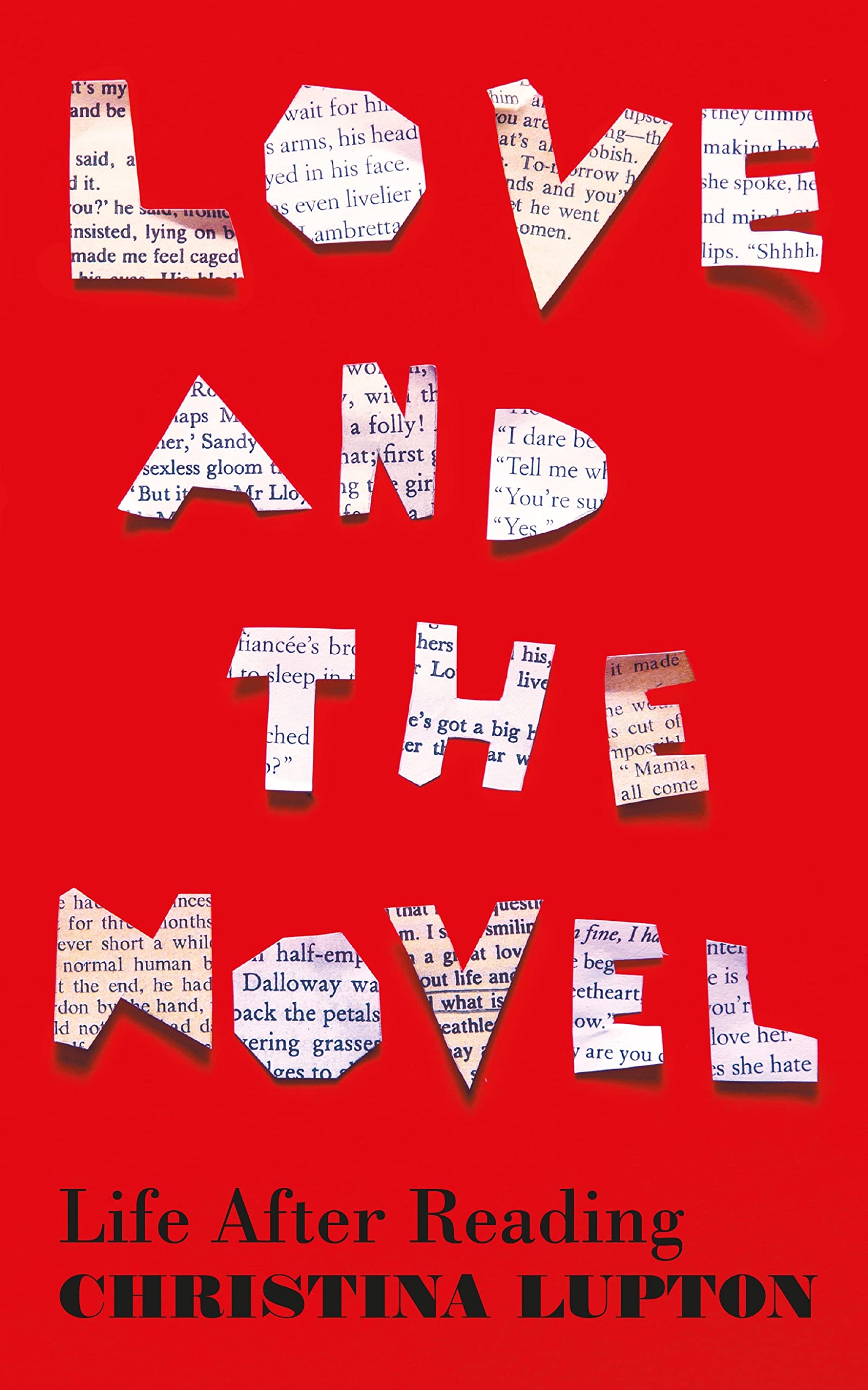 Love and the Novel: Life After Reading (Kindle Edition)