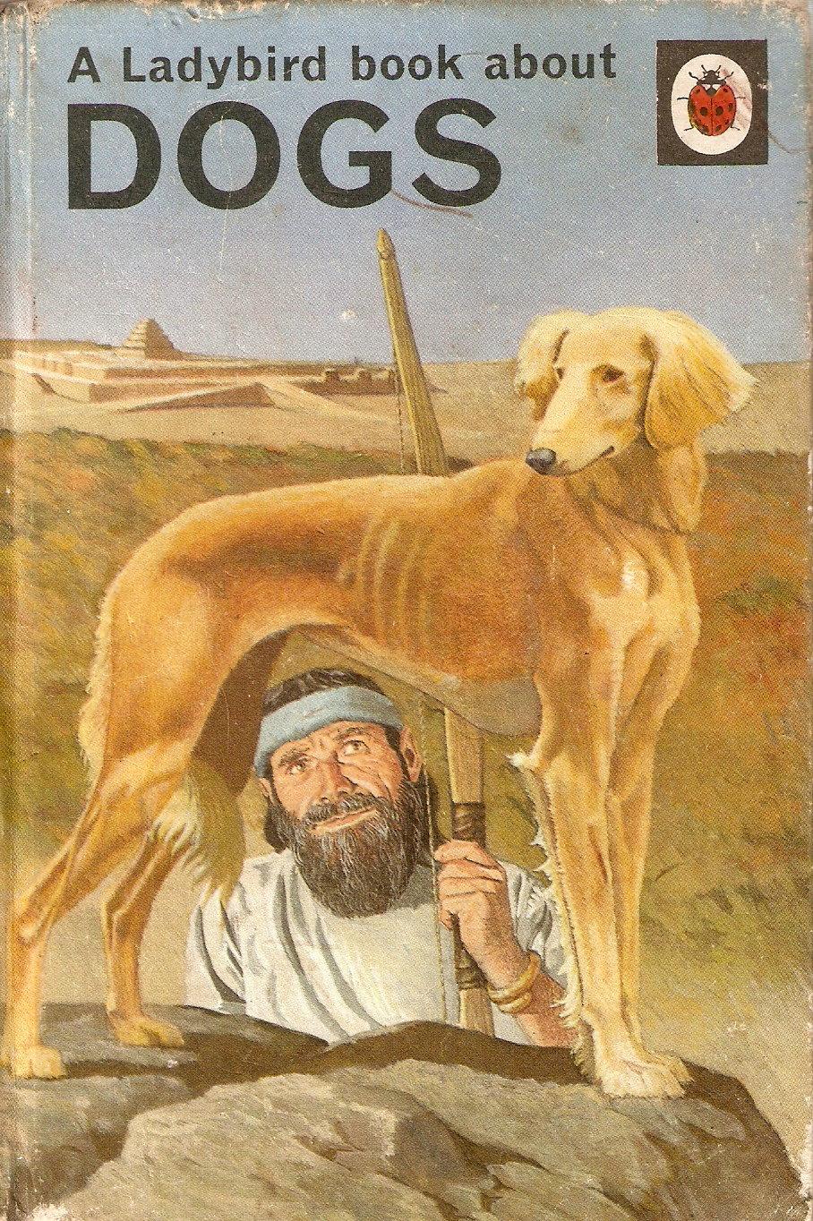 A Ladybird Book about Dogs (Hardcover)