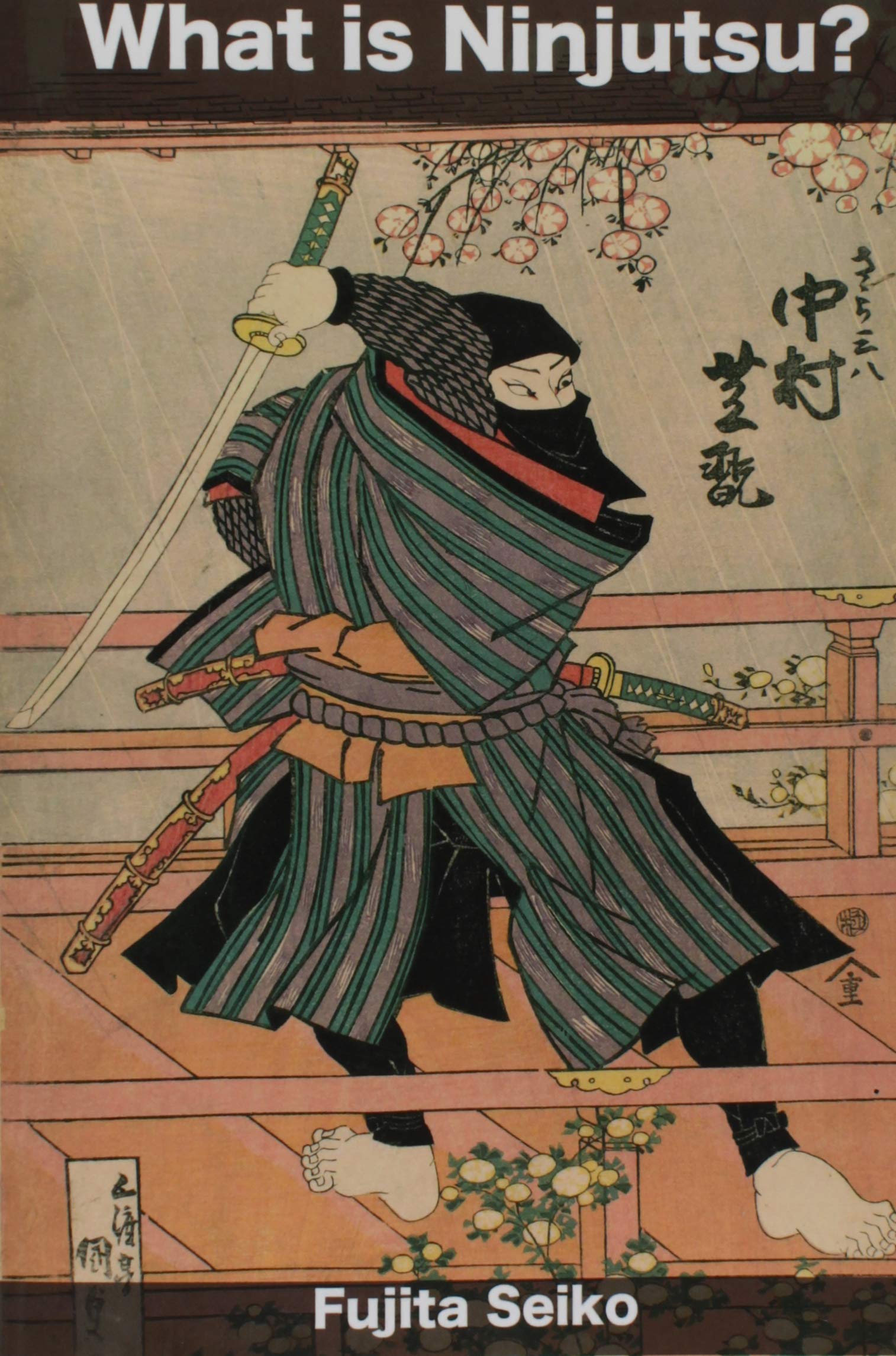 What is Ninjutsu? (Paperback)