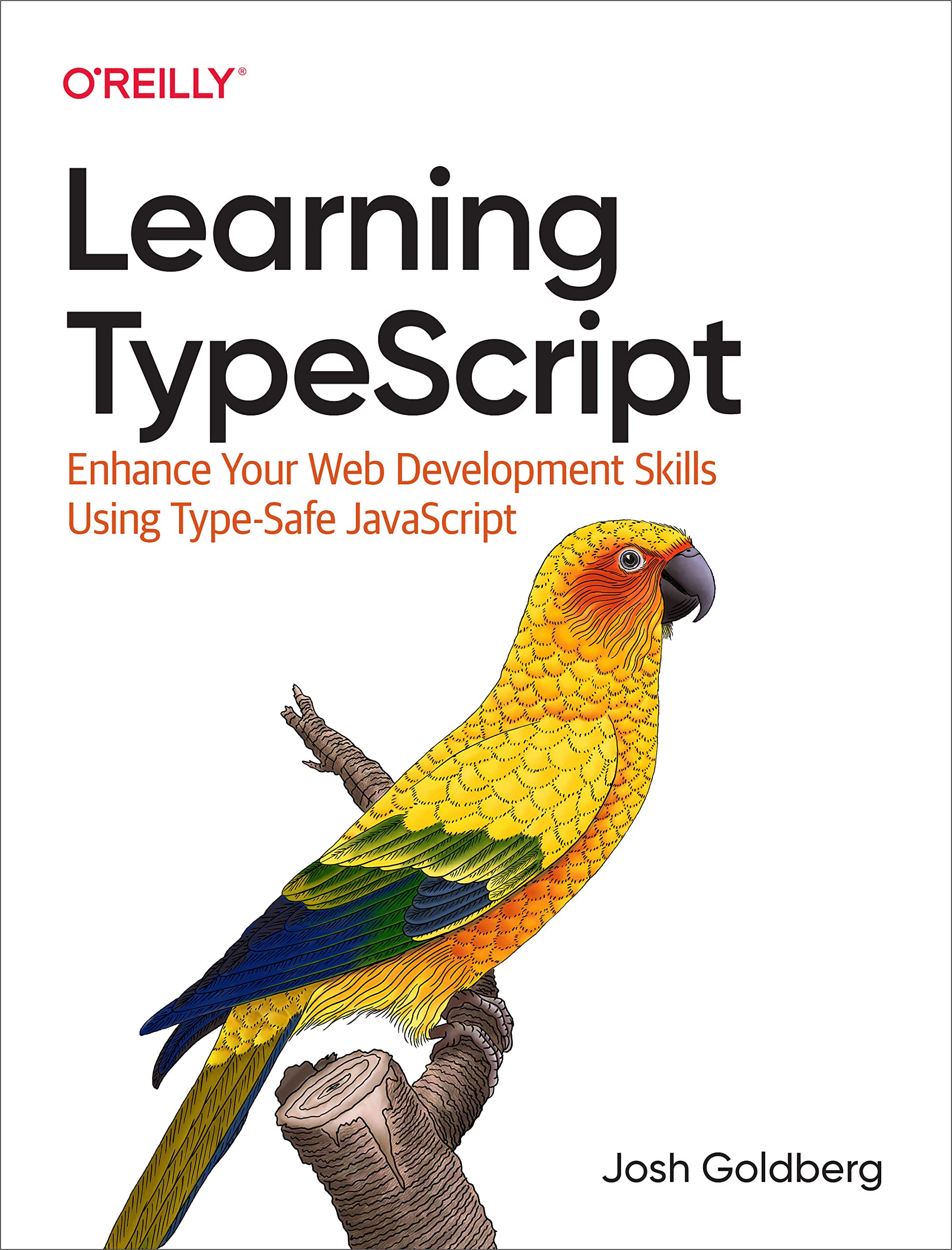 Learning TypeScript: Enhance Your Web Development Skills Using Type-Safe JavaScript (Kindle Edition)