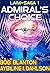The Admiral's Choice (Laim Saga #1) by Bob Blanton
