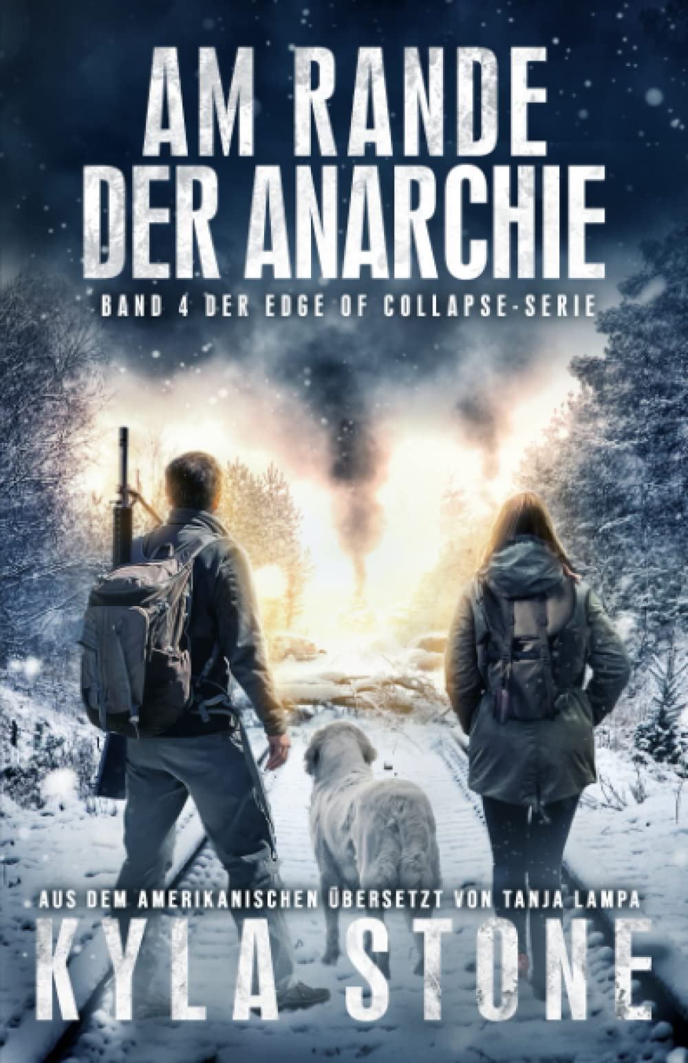 Am Rande der Anarchie (Edge of Collapse #4)