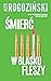 Śmierć w blasku fleszy (Miśka i Mario, #1)