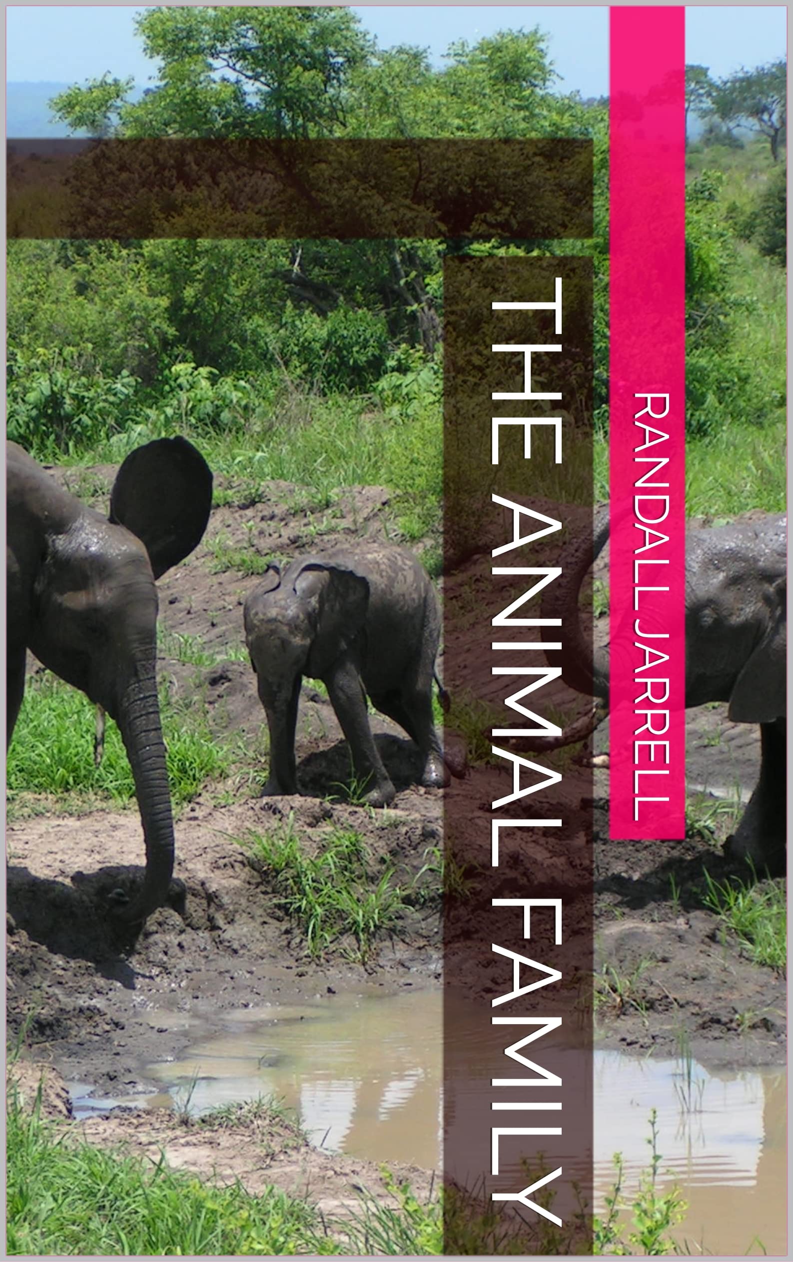 The Animal Family