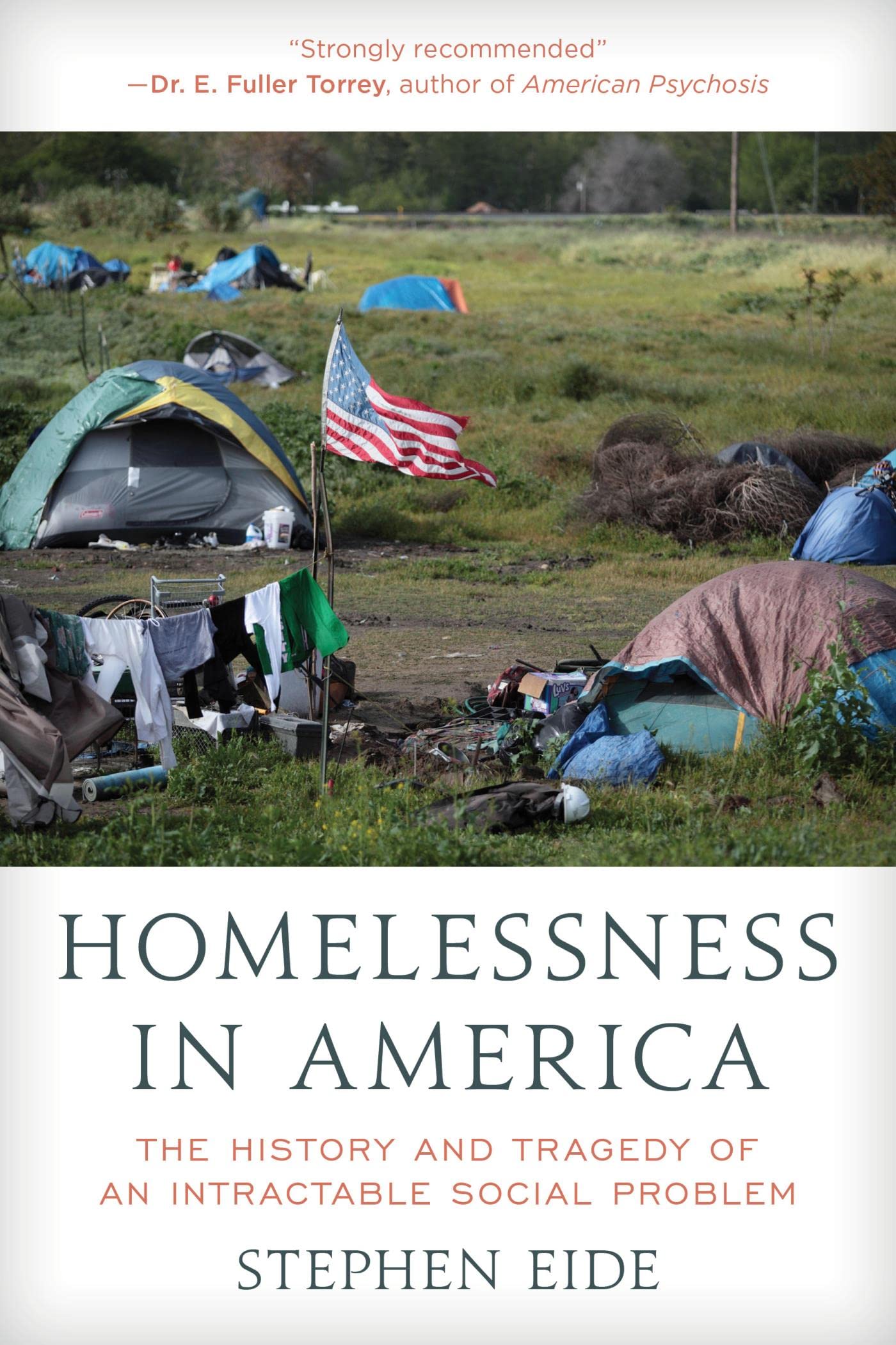 Homelessness in America: The History and Tragedy of an Intractable Social Problem (Kindle Edition)