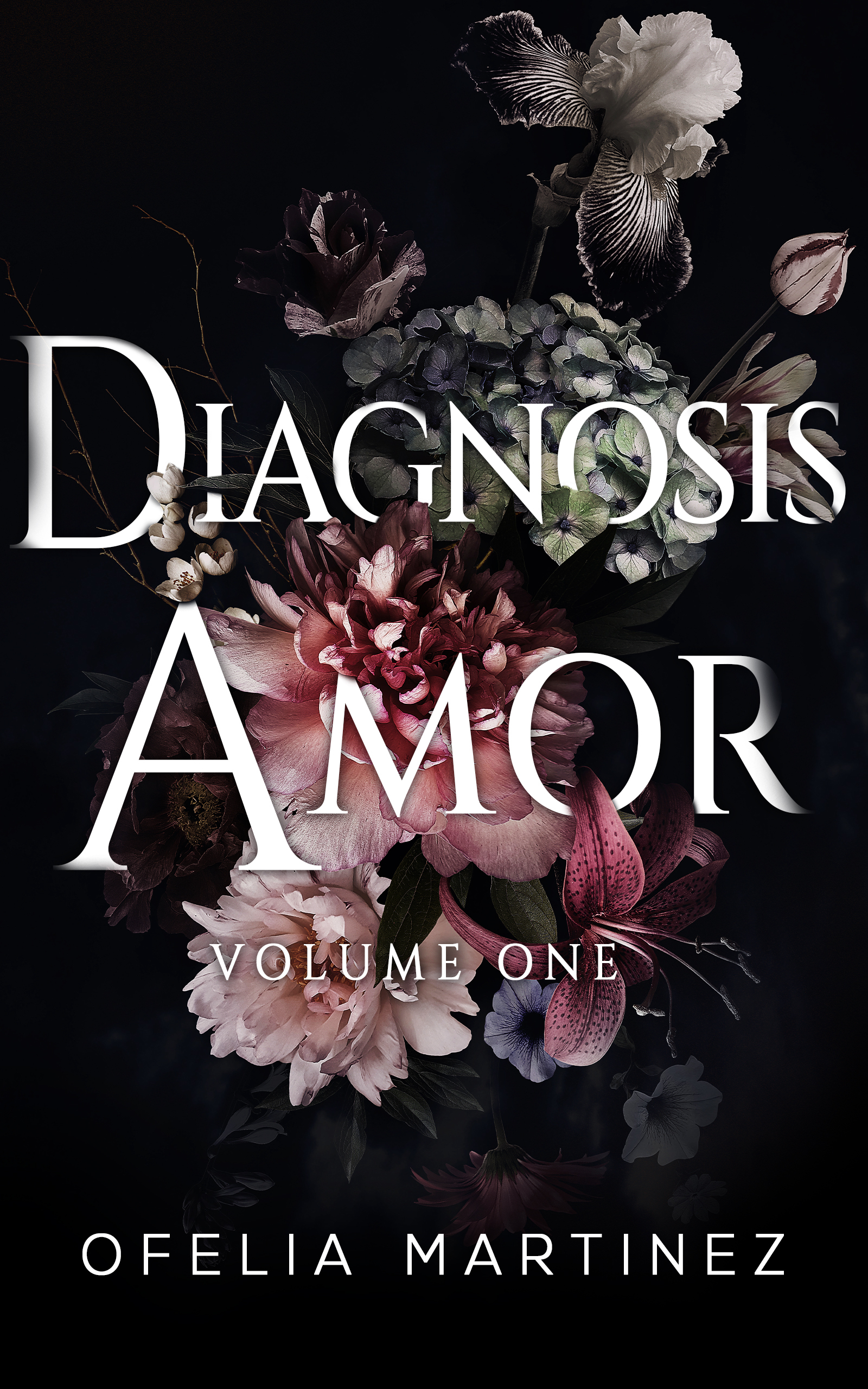 Diagnosis Amor (Heartland Metro Hospital Collection Vol.1)