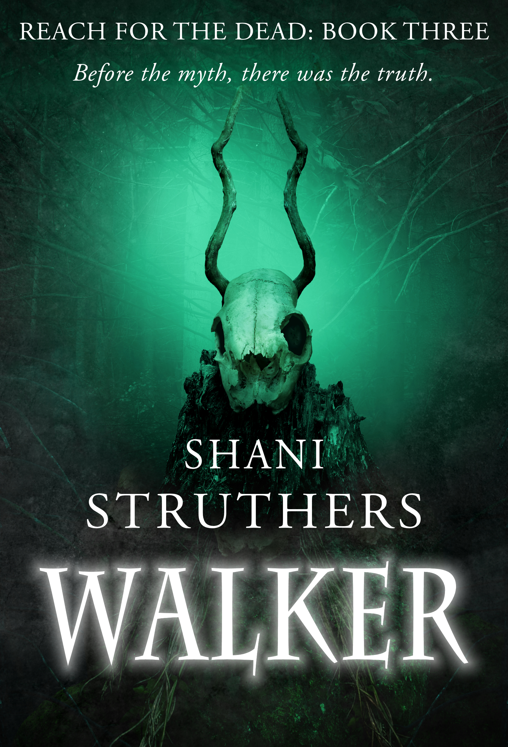 Walker: A Gripping Supernatural Thriller (Reach for the Dead Book Three)
