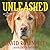 Unleashed (Andy Carpenter #11)