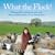 What the Flock! Raising kids, rearing animals and other misadventures on our family farm by Sally Urwin