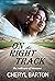On the Right Track: The Sul...