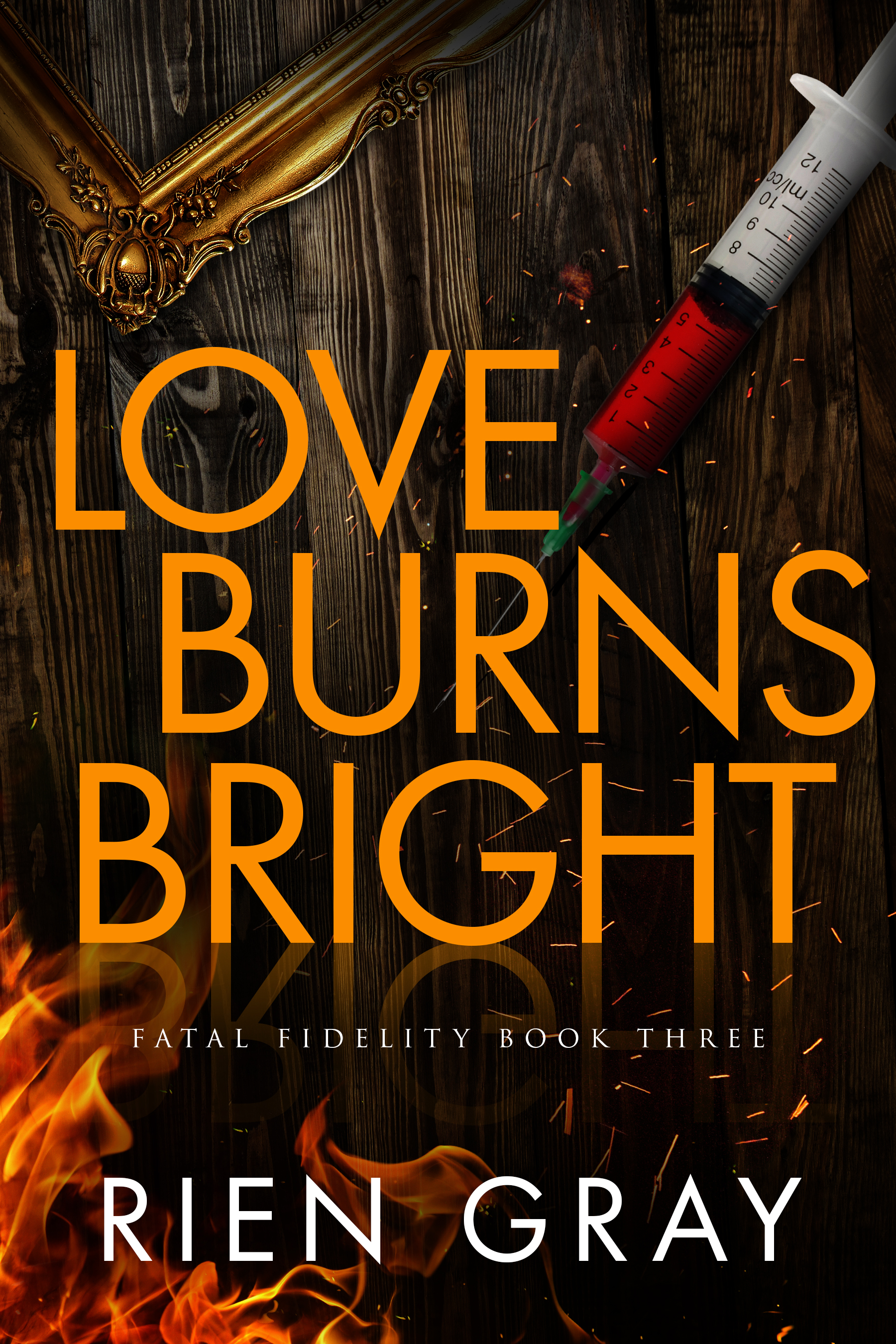 Love Burns Bright (Fatal Fidelity, #3)