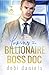 Loving the Billionaire Boss...