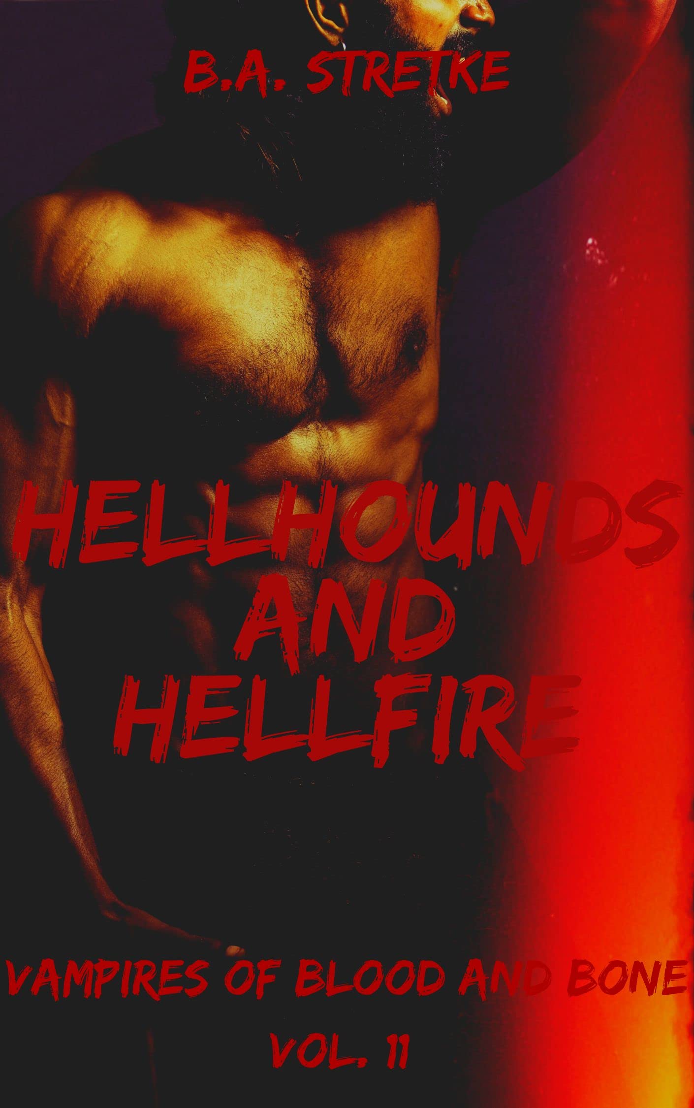 Hellhounds and Hellfire (Vampires of Blood and Bones #11)
