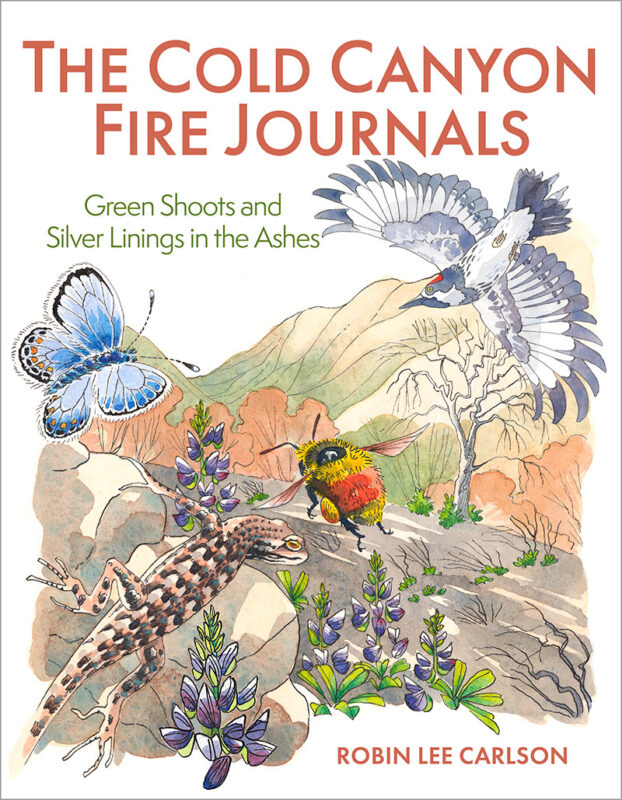 The Cold Canyon Fire Journals: Green Shoots and Silver Linings in the Ashes (Paperback)