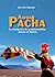 Awqa Pacha: La insurgencia ...