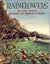 Rainflowers (A Charlotte Zolotow Book)