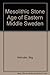 The Mesolithic stone age of eastern middle Sweden by Stig Welinder