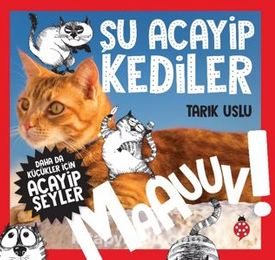 Şu Acayip Kediler (Daha Da Küçükler İçin, #1)
