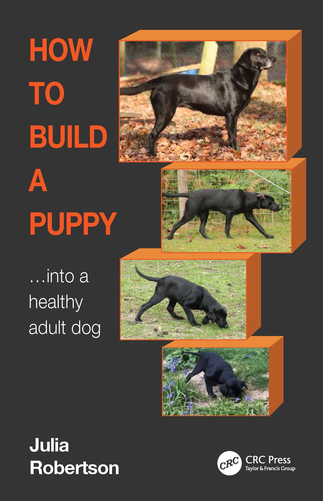 How to Build a Puppy: Into a Healthy Adult Dog (Kindle Edition)