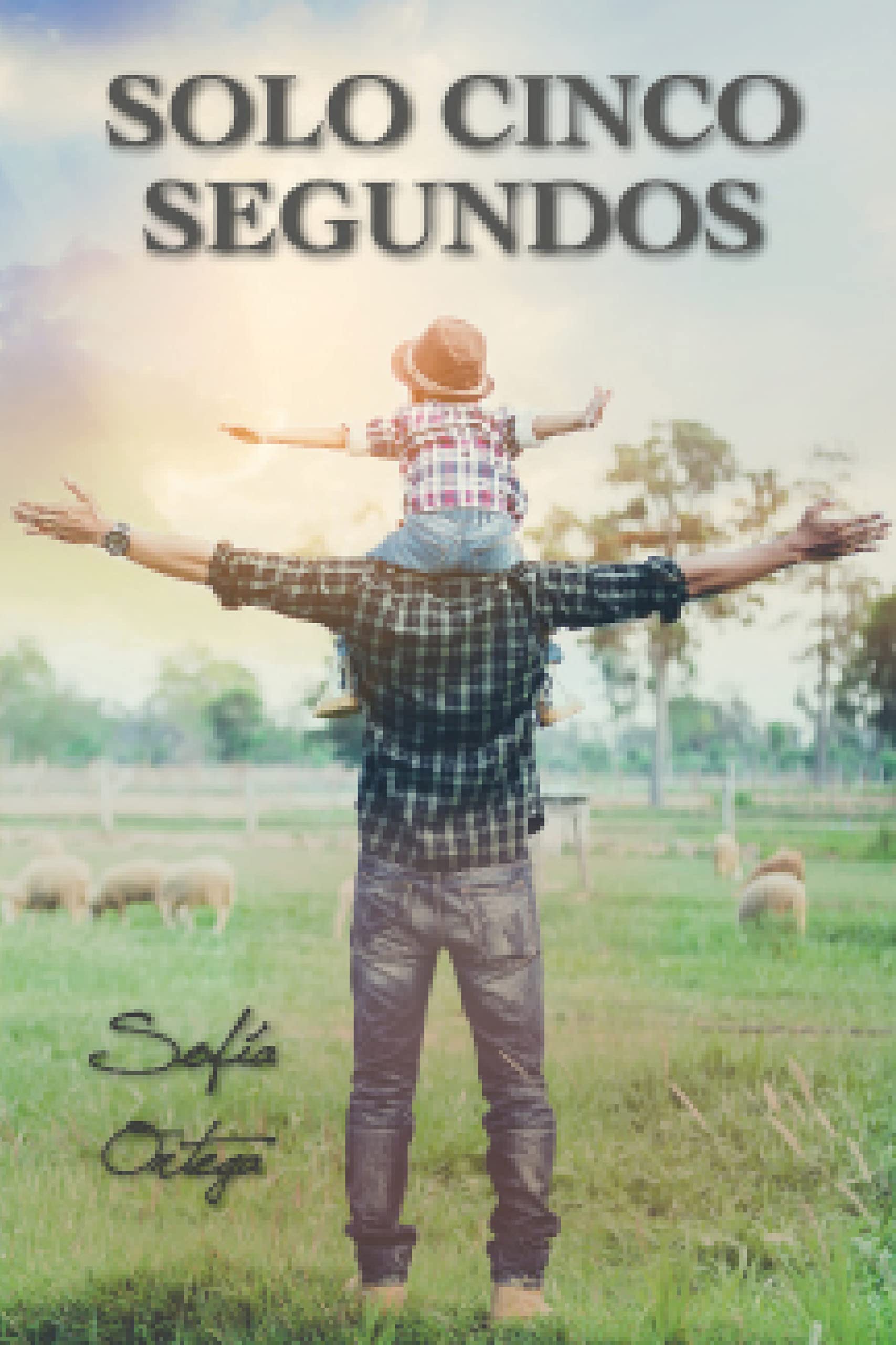 Solo cinco segundos (Spanish Edition)