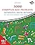 3000 Examples and Problems:...
