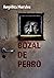 Bozal de perro