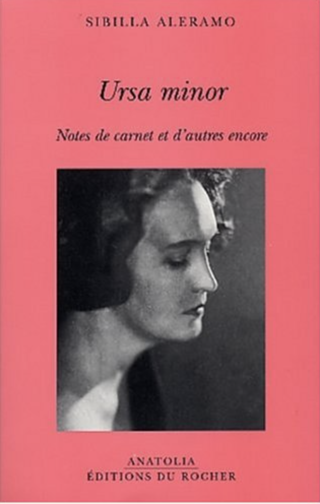Ursa minor : Notes de carnet et d'autres encore