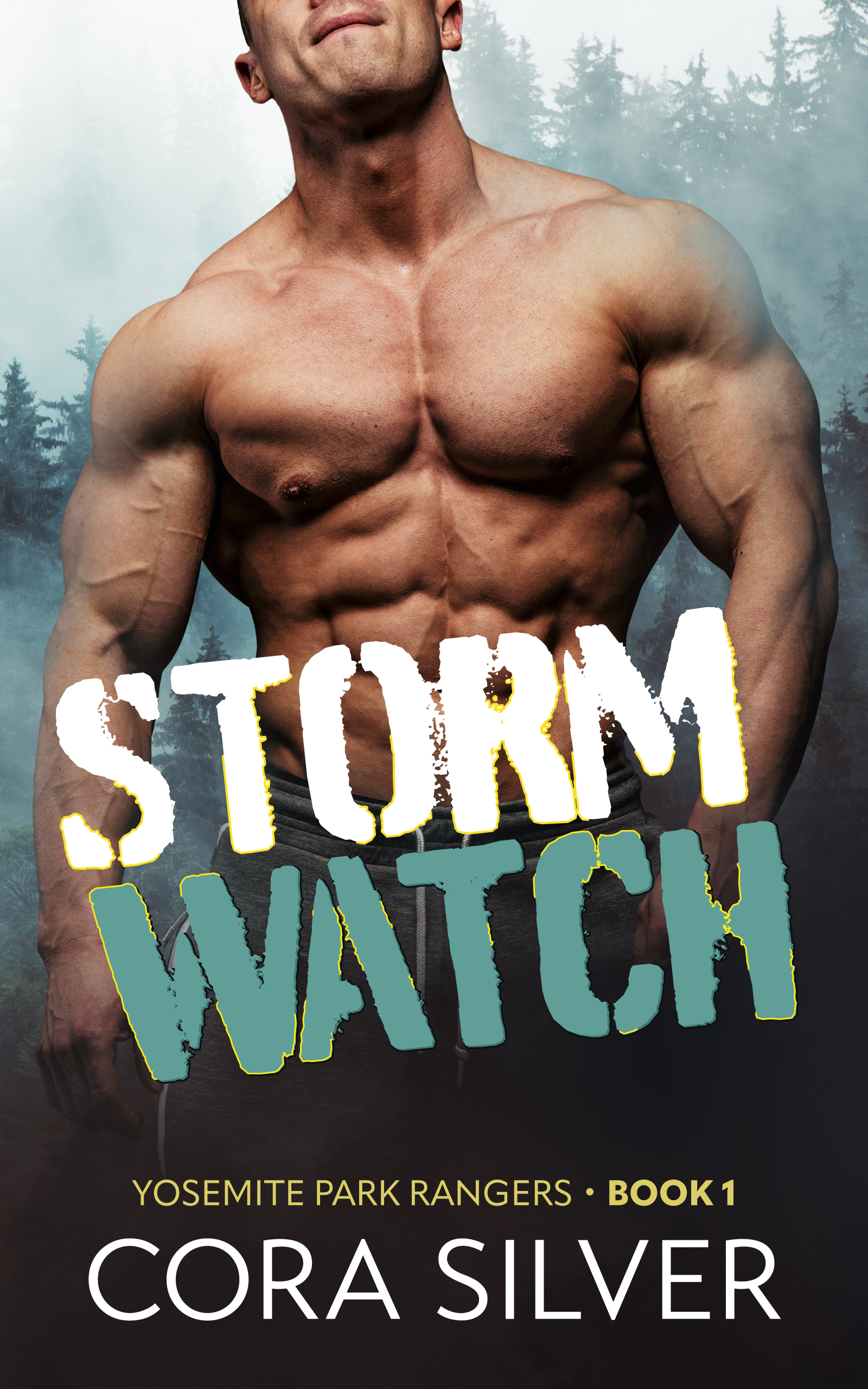 Storm Watch (Yosemite Park Rangers, #1)