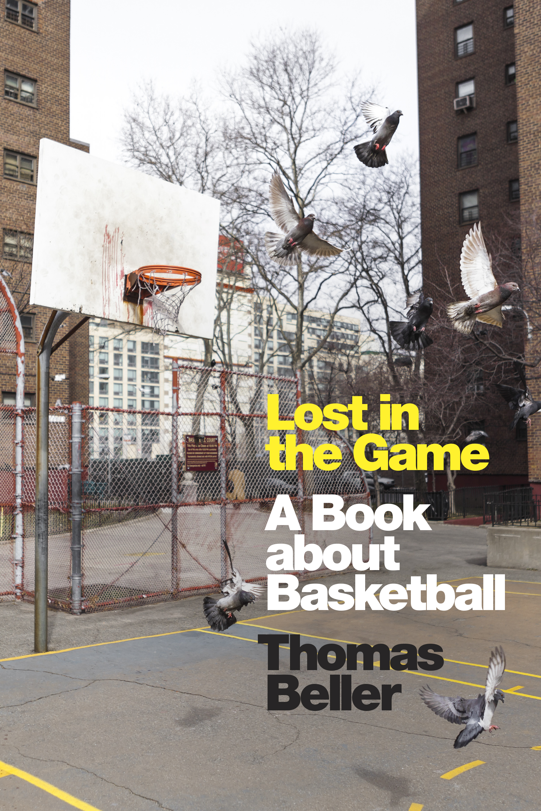 EBOOK Lost in the Game: A Book about Basketball