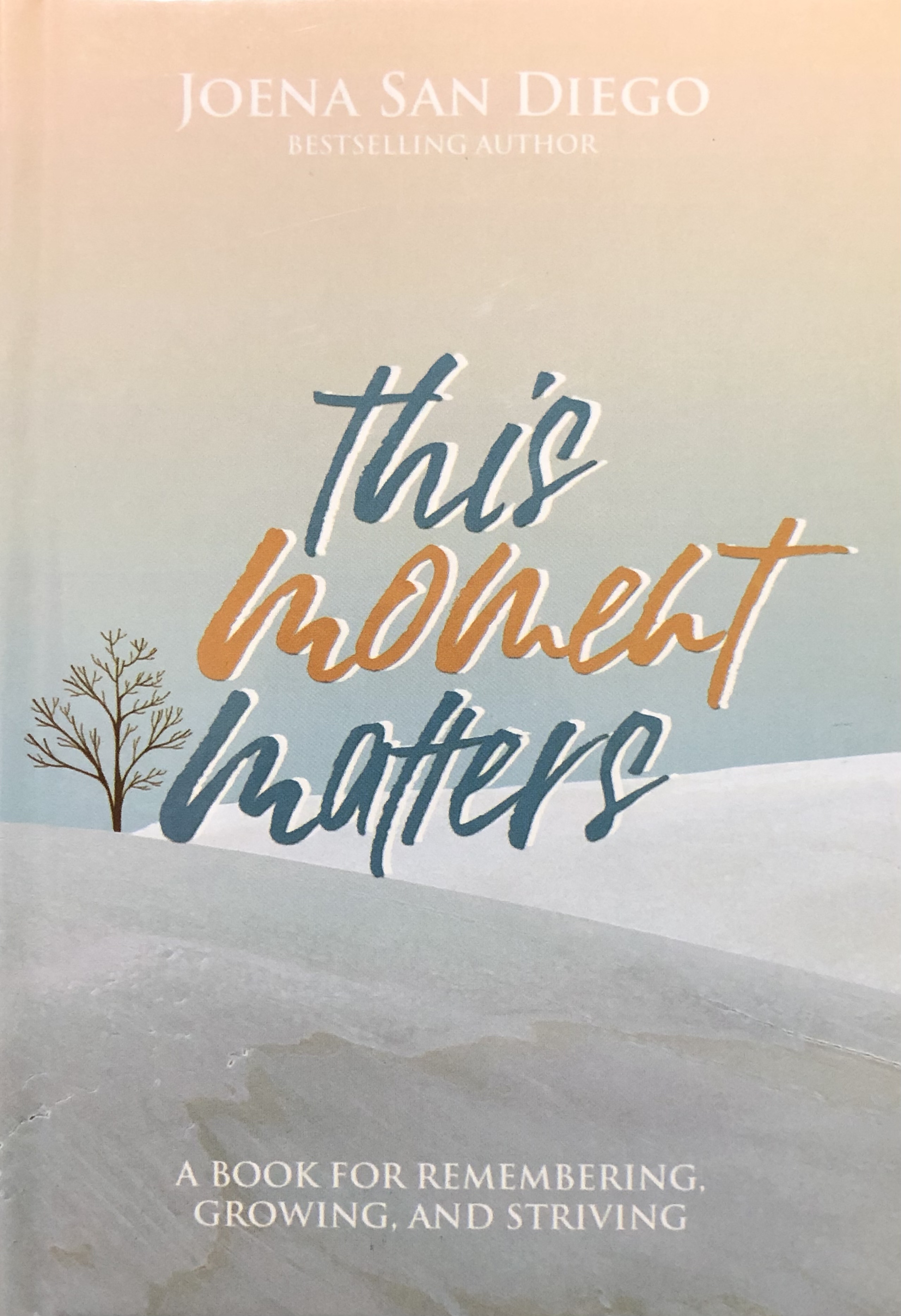 This Moment Matters (Hardcover)