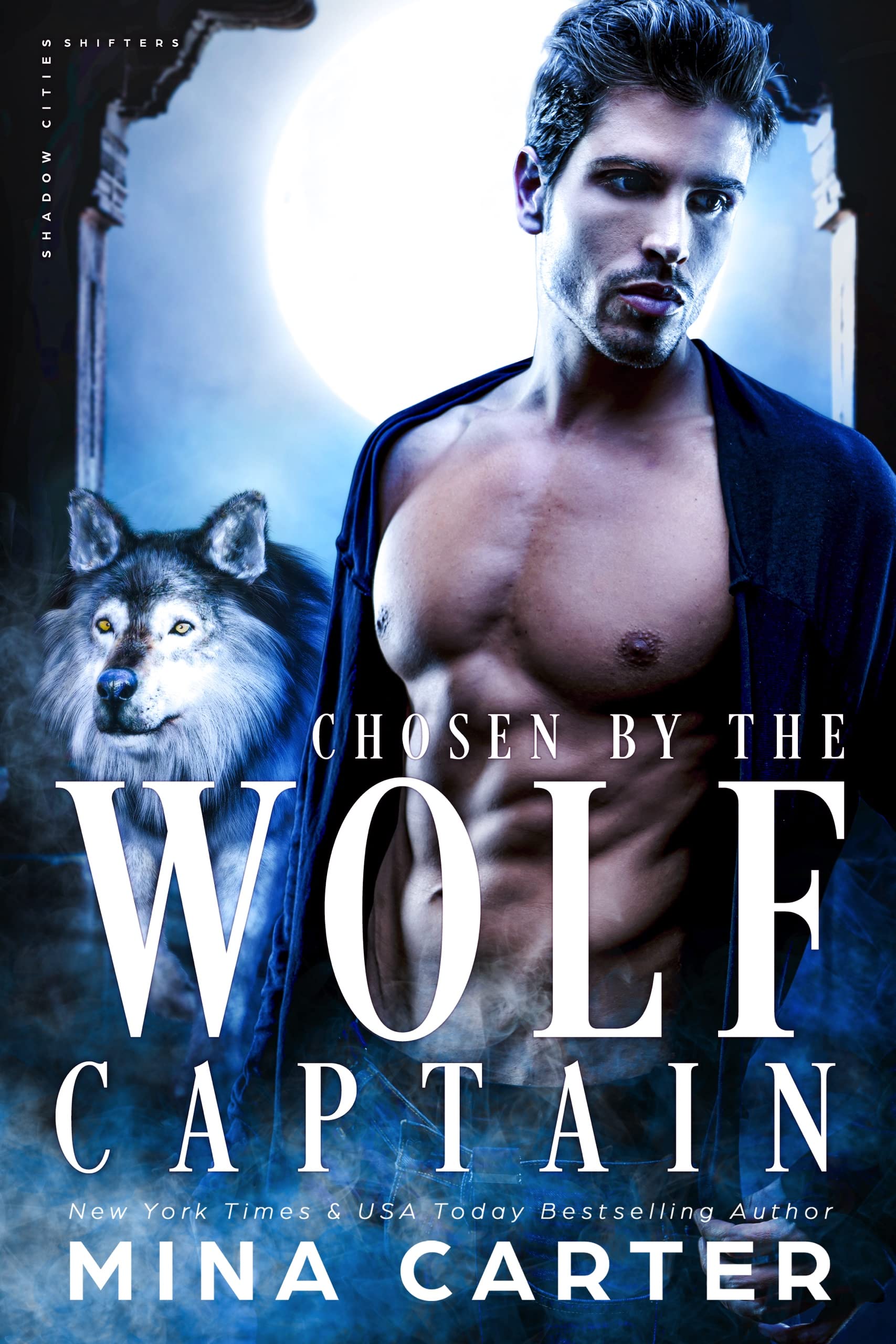 Chosen by the Wolf Captain (Shadow Cities Shifters, #3)