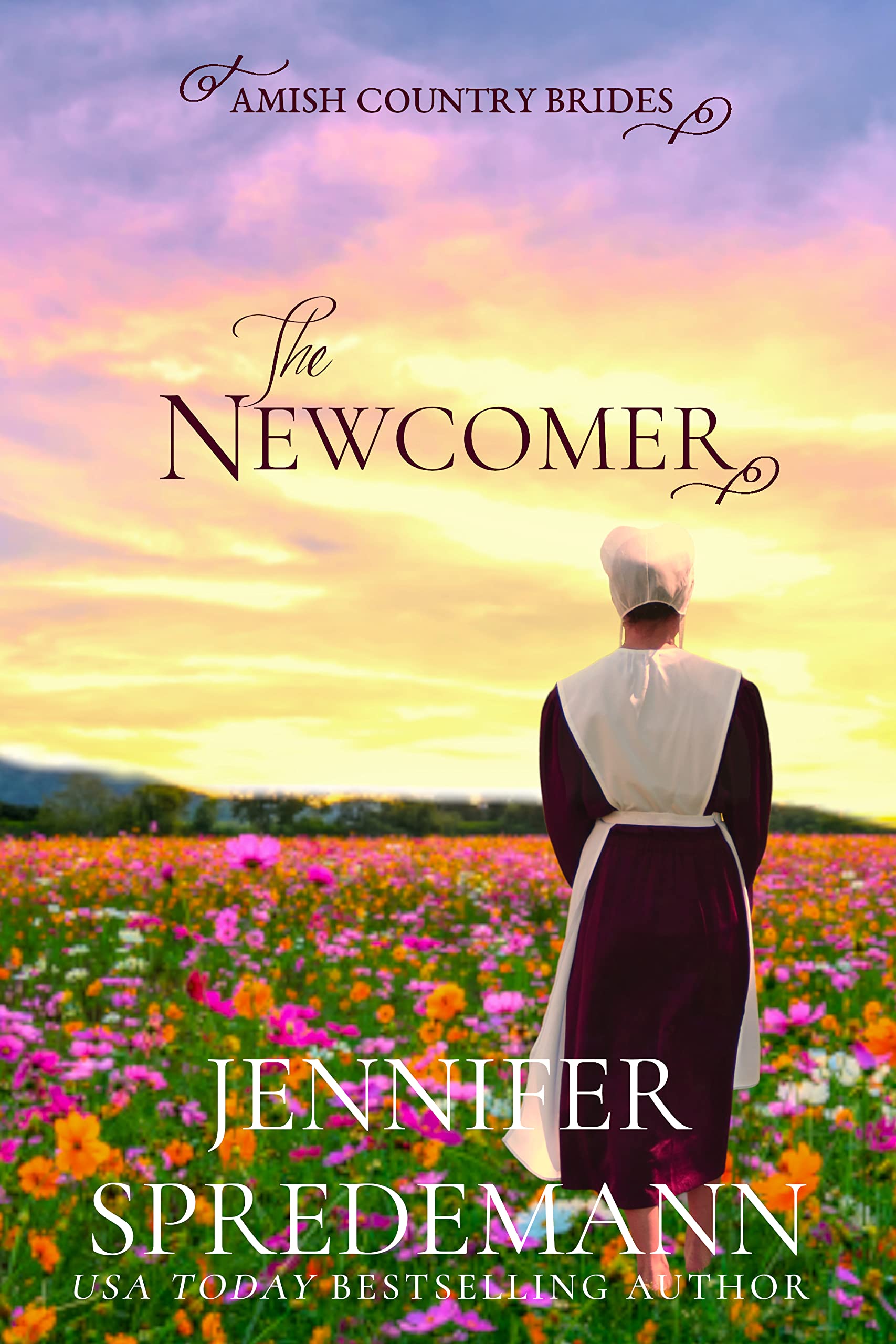 The Newcomer (Amish Country Brides #0.5)