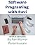 How to do Software Programming: With Examples