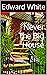 Never The Big House by Edward White