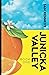 Junicka Valley: Book One