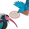 The Bird Book by Steve Jenkins