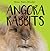Angora Rabbits