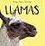 Llamas by Beth Gottlieb