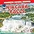 Niagara Falls (Wonderful Natural Wonders)