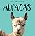 Alpacas (Wow, That's Woolly!)