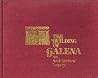 The Building of Galena: An Architectural Legacy