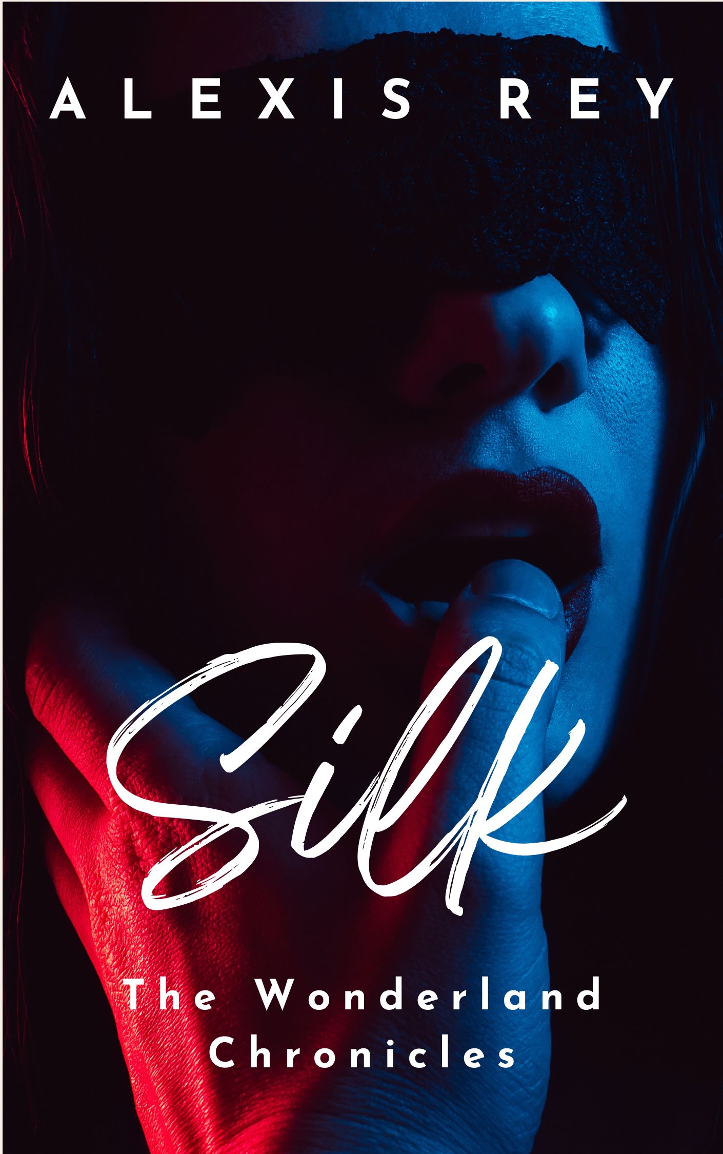 Silk (The Wonderland Chronicles #2)