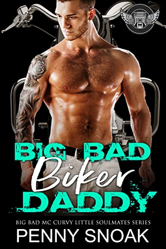 Big, Bad Biker Daddy (Big Bad MC Curvy Little Soulmates #5)