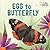 Egg to Butterfly